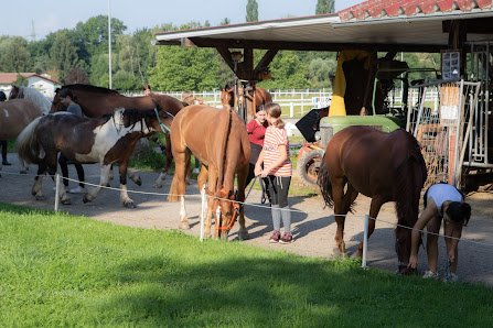Freiberger Pferde Reitschule Ludäscher Wittlinger Str. 9, 79595 Rümmingen