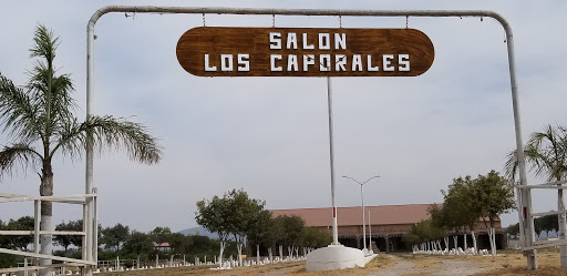 Salon Los Caporales - Thumbnail