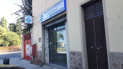 Ambulatorio veterinario pascoli