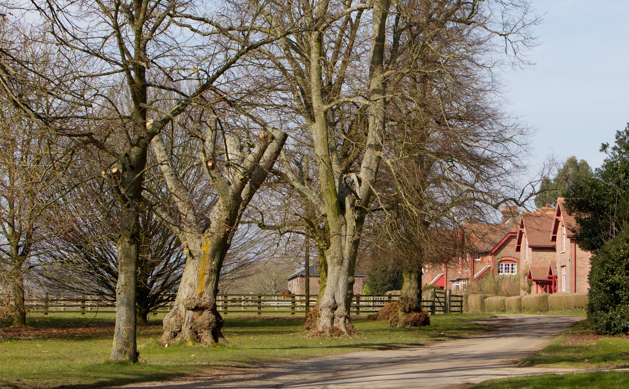 Luton Hoo Estate - Venues - photo 1