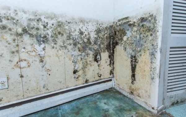 Hero Mold Company of Eden photo
