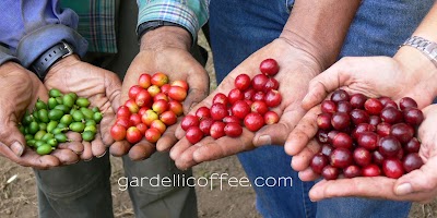Photos of Gardelli Specialty Coffees