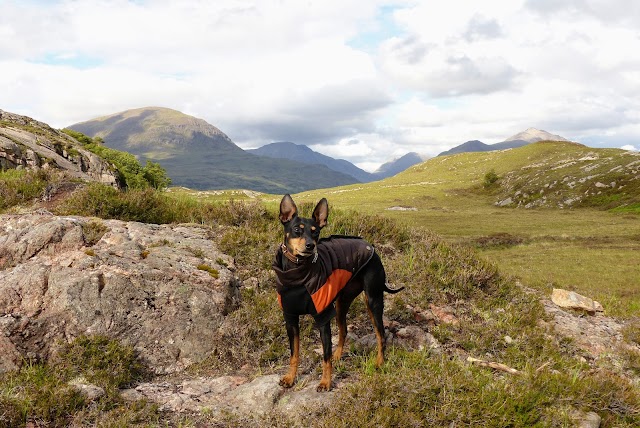 Shieldaig Bar & Coastal Kitchen