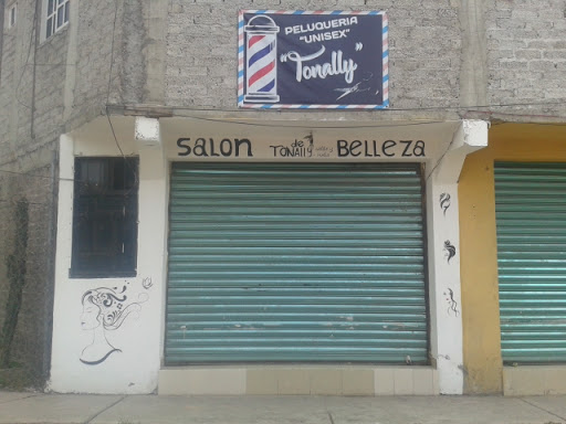 Peluqueria Unisex "Tonally"