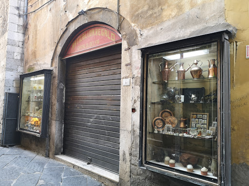 Cataldi Delfa - Visual