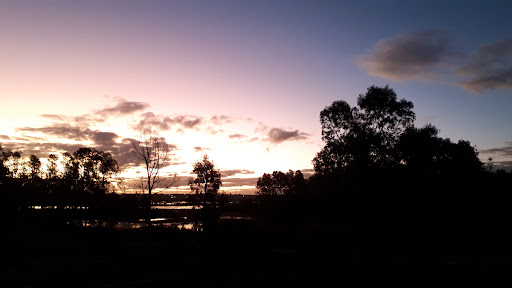 Yarrawonga Boat Harbour - Thumbnail