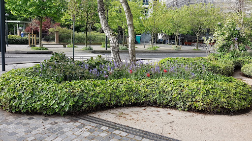 Place des 3 Frères Lebeuf - Thumbnail