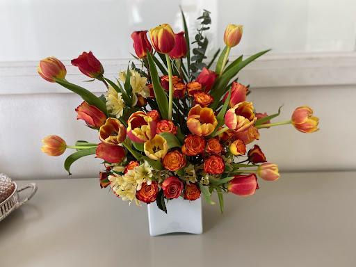 Sury Decor Gallery - United States