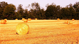 Photo n°5 de Gites de clement à Angoisse (Agence de location de maisons de vacances)