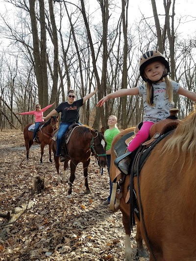 Chasing Laurels - Riding Lessons , Horse Boarding , & Training