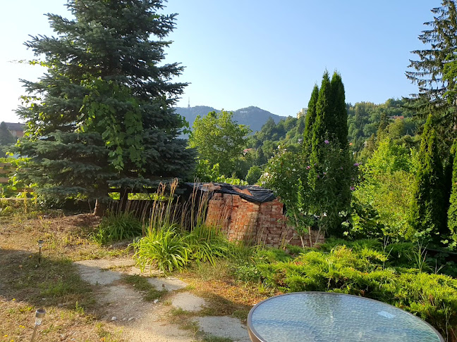 Esprit - Brașov