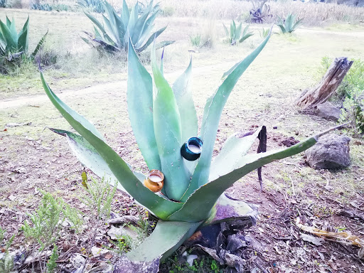 Rancho Gutierrez-Soto