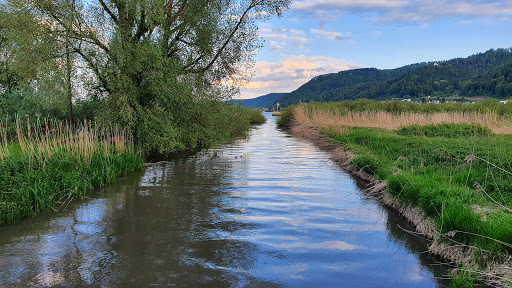 Stockacher Ach - Germany