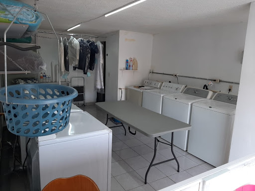 Tortu Laundry - Thumbnail