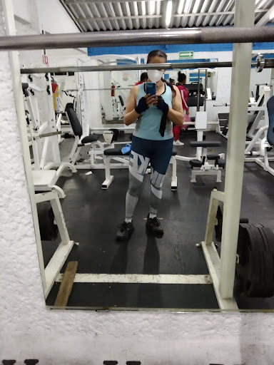Bifanos GYM