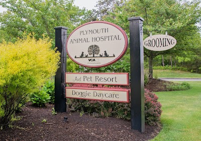 Photos of VCA Plymouth Animal Hospital and Pet Resort