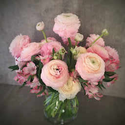 Photo n°36 de Multiflor | Fleuriste Brive-la-Gaillarde à Brive-la-Gaillarde (Service de plantes d'intérieur)