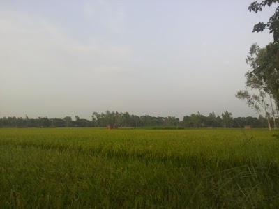 Photos of Jugnidaha Jame Mosjid