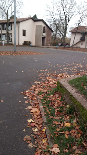 Elementary School Hohe Wacht - Thumbnail