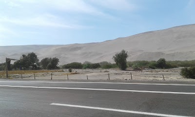 Photos of Valle de Azapa