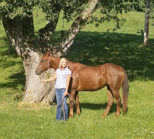 TriplePerformanceEquine.com - Thumbnail
