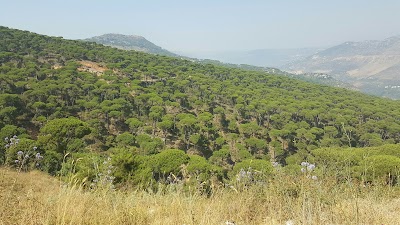 Photos of Jannat al sanawbar Restaurant