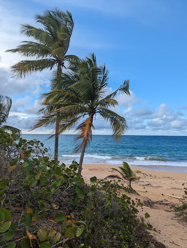 Aviones Beach Access - Thumbnail
