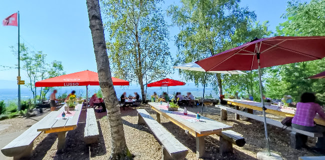 Rosinlistrasse 20, 8345 Bäretswil