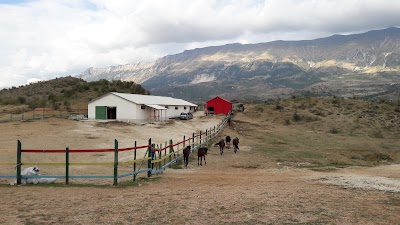 Caravan Horse Riding Albania