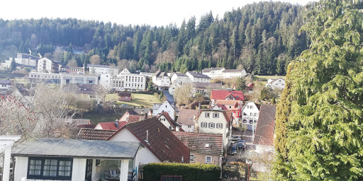 Hotel-Appartementhaus Paradiso - Thumbnail
