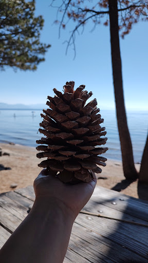 Lake Tahoe Sculpture - Thumbnail