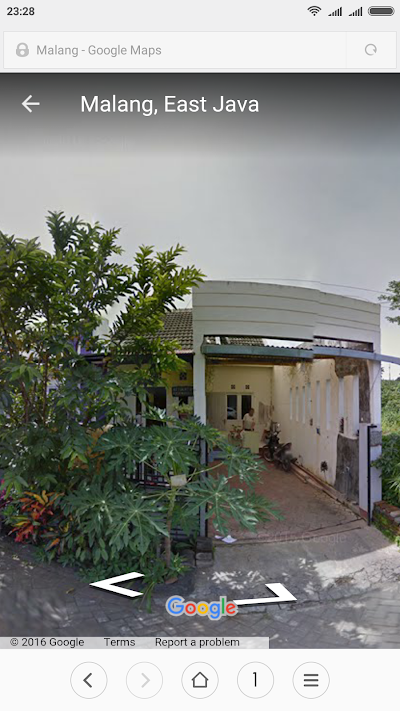 Photos of Cute Amy