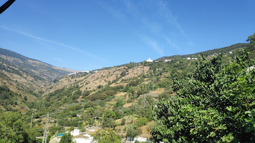 Portugos - Visual