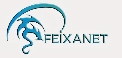 feixanet informatica - Visual