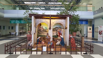 Photos of Ospedale G.B.Morgagni-L.Pierantoni