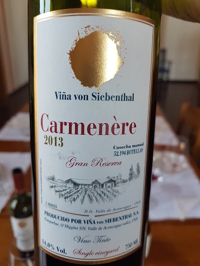 Photos of Vi&ntilde;a von Siebenthal