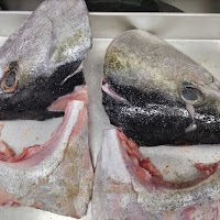 居酒屋 八丁堀ぜん