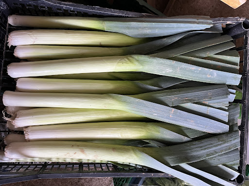 Carnoustie Farm Shop - Thumbnail