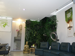 Photo n°21 de Concept BIO HAIR PUNCH à Périgueux (Salon de coiffure)