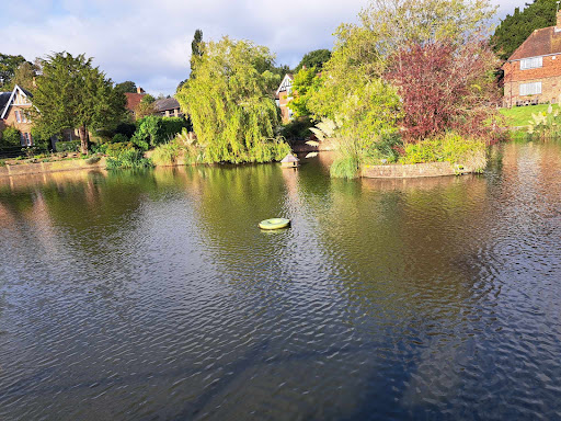 Lindfield Common - Visual