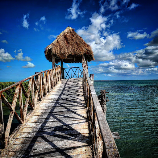 My Holbox Tours - Thumbnail