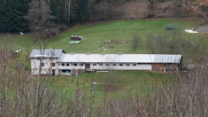 Photo n°4 de GAEC Ferme des Cathelins à Montgilbert (Ferme à visiter)