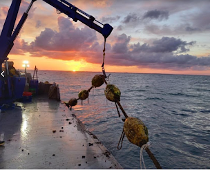 Photo n°25 de Les Vignes Marines à Guérande (Marché aux poissons et fruits de mer)