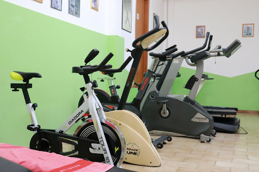 Palestra New Body Line - Thumbnail