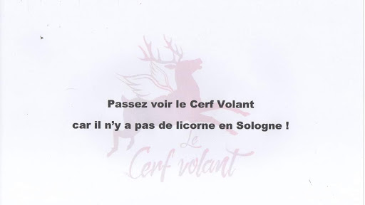 Photo 5 - Le Cerf Volant