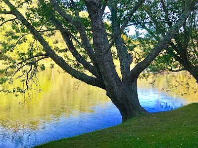 New River Campground and Canoe