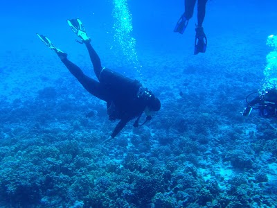 Molokini Island Preserve