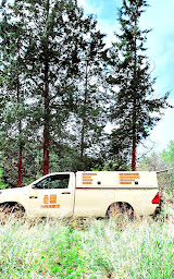 Photo n°6 de AM Debouchage SAS à Marseille (Service d'extermination des nuisibles)