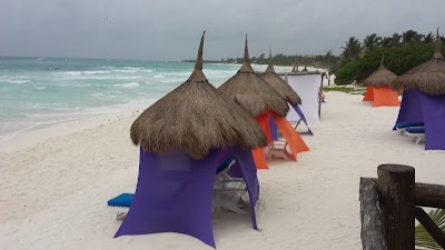 Photos of La Arboleda The Grove