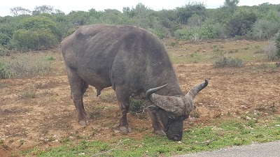 Photos of Ghwarrie Dam Lookout
